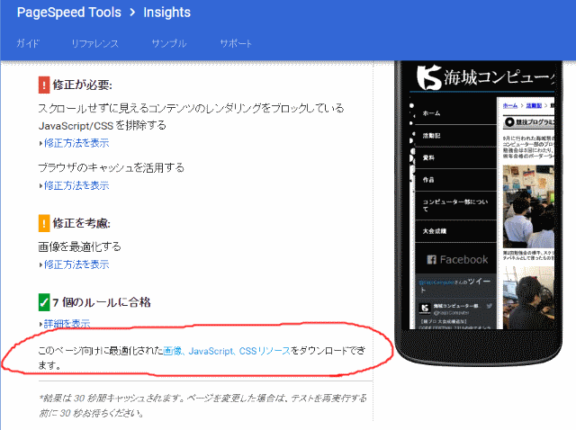 PageSpeedInsights2